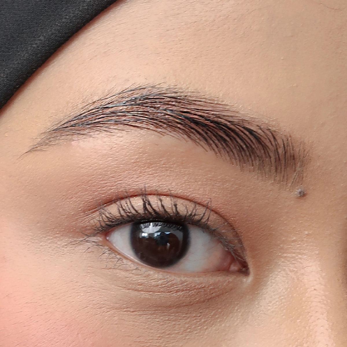 Soft Trace Brow Pencil in Brown on medium skin